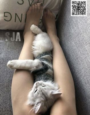 斗罗大陆1