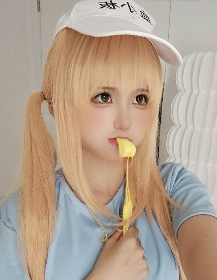 新全集网