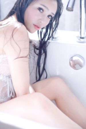 龙之家族