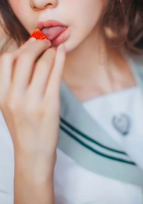 妖精的旋律 动画