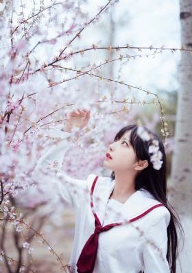 原神从西风骑士团开始的调解